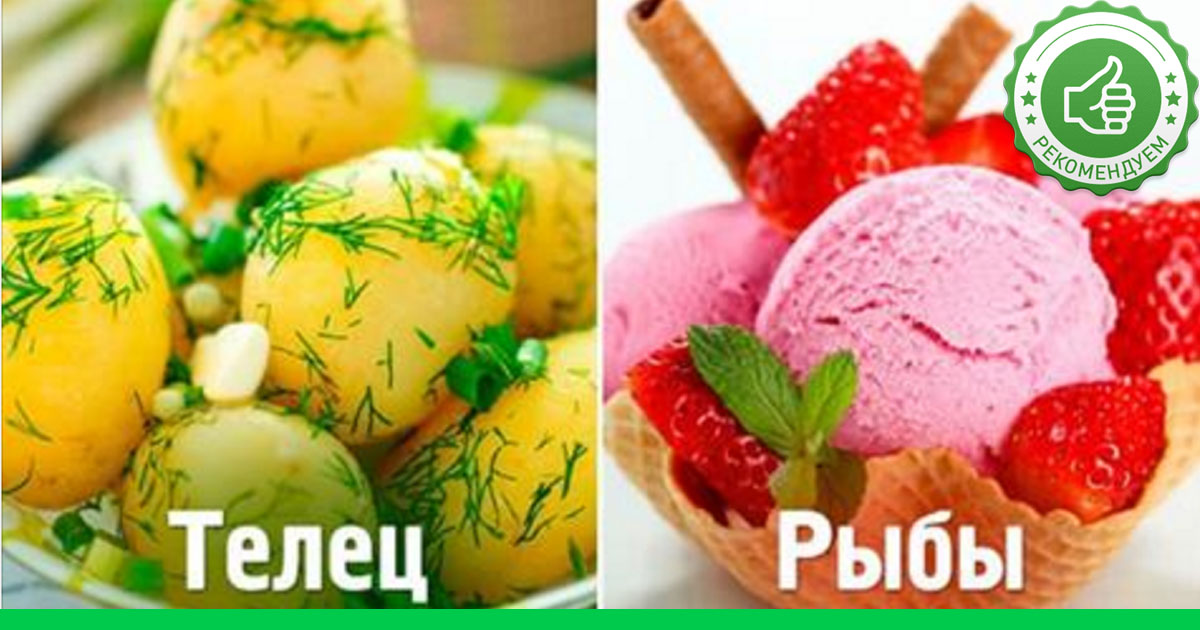 Из мяса цыпленка что можно приготовить