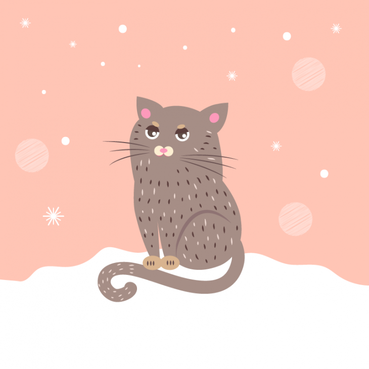 cat-snow-730x730