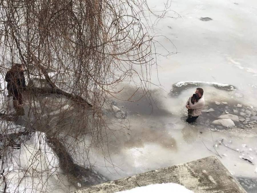 Ради спасения собаки мужчина полез в ледяную воду