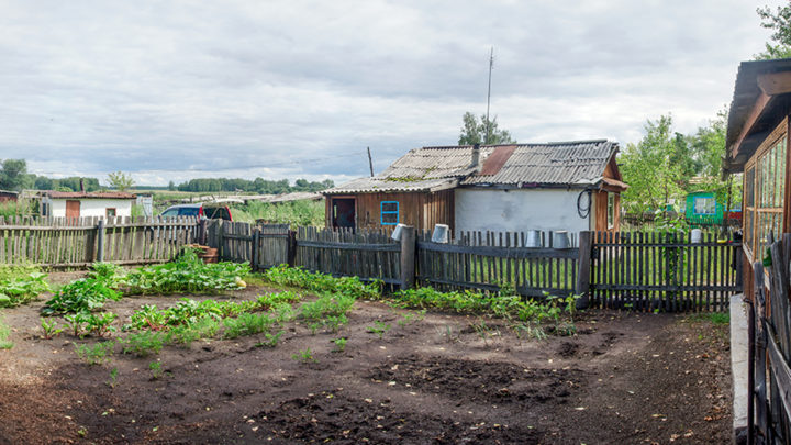Ну и брат у меня: купил дачу, на которую не ездит никогда. А меня пускает с дочкой пожить на эту дачу только за деньги